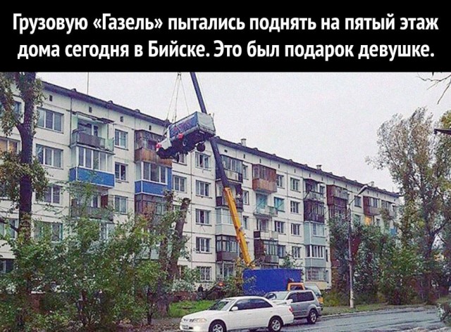 Весёлый полтишок 08.11.22