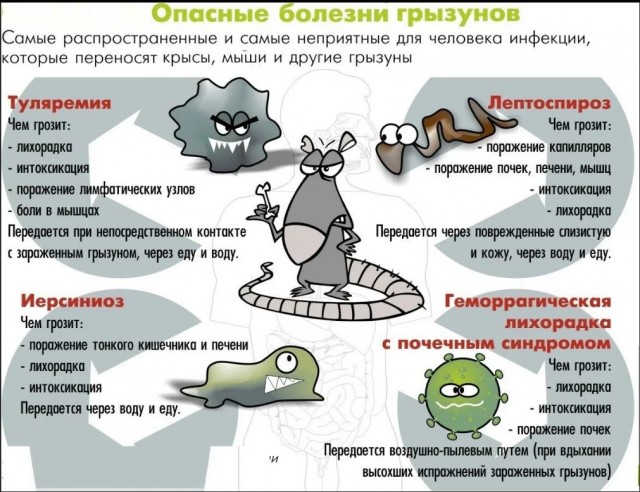 Победная поступь идиотизма по планете – том 7