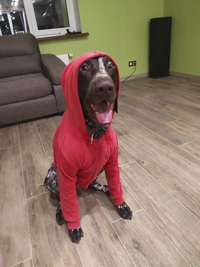 Snoop Dogg