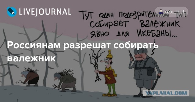 Закон об электронных повестках и едином реестре военнообязанных подписан Путиным и вступил в силу