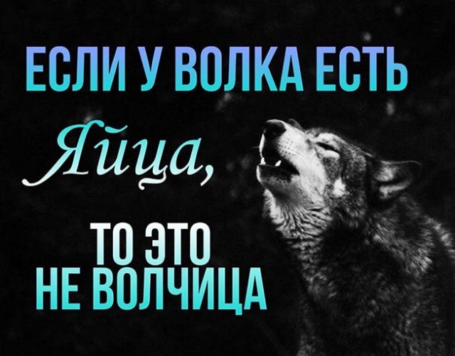 Бесит, когда срёшь на рельсы, показывая дух бунтарства и свободы, а тебе мешают волки