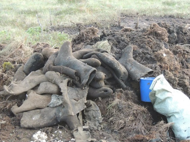 Болото смерти. Страшное эхо Зимней войны