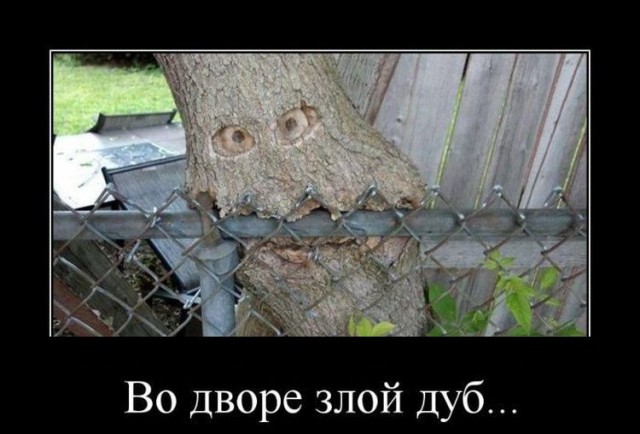 Тоже, что-ли баянов запостить...