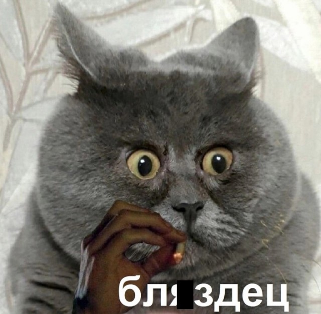 Дело о пропаже ведра сметаны раскрыто.