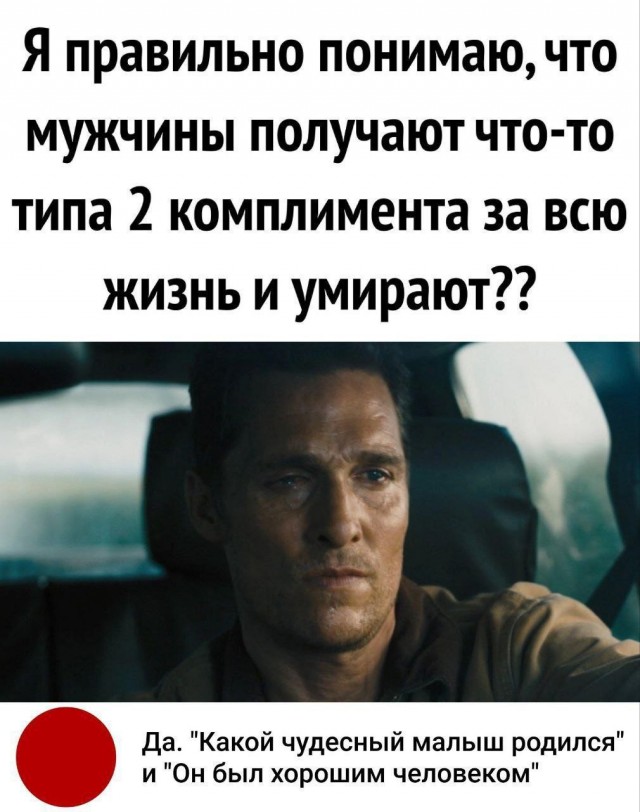Весёлый полтишок 07.08.23