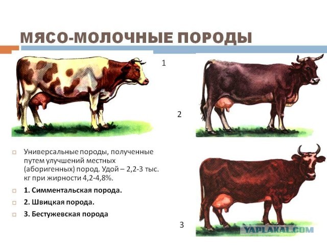 Вот как, оказывается, делают сувенирные подвески в стиле викингов!