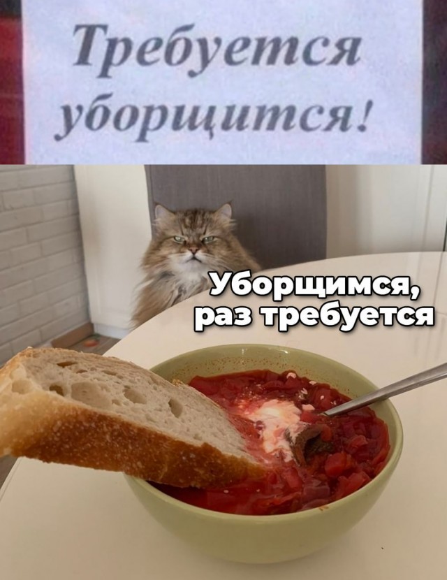 Химия и жизнь