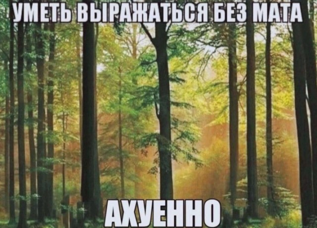 Всего понемногу. От 24.01.24
