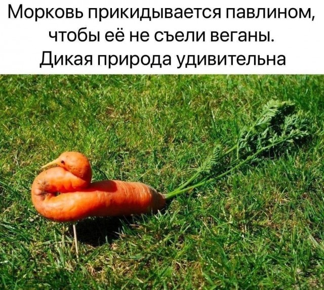 Так себе картинки 16.07.24