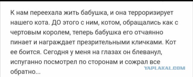 Суббото-баяно-лар