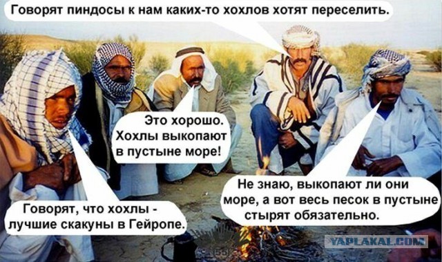 Веселые картинки в понедельник (30.09)