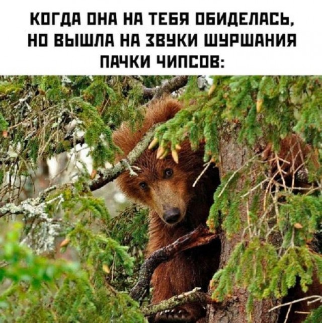Картинки разные с надписями и без