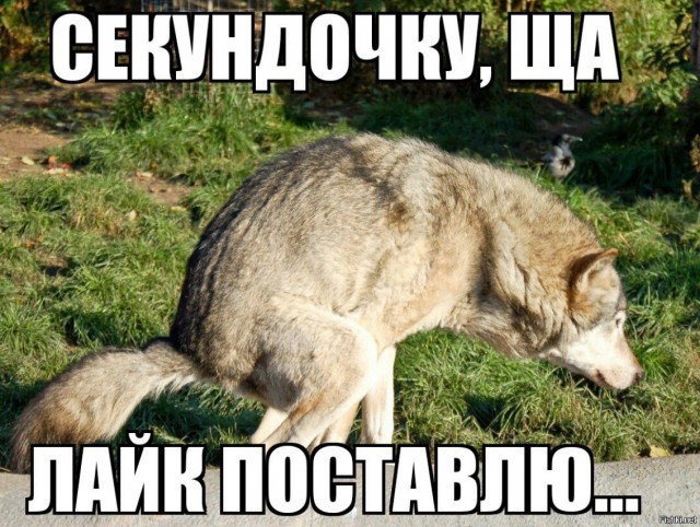 Всем счастливого Рагнарёка!