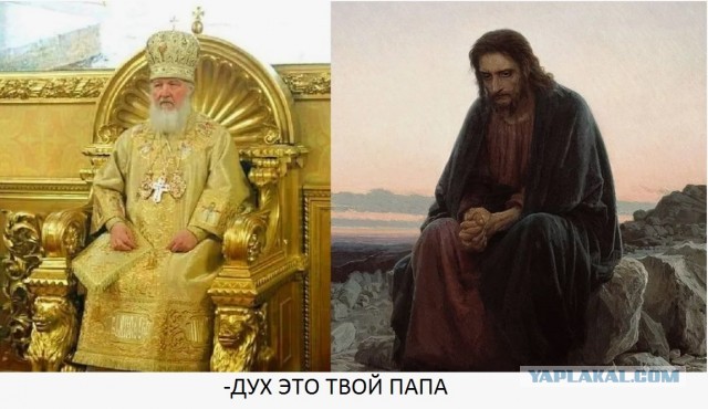 Путин удивился закупке Россией изделий из древесины за границей