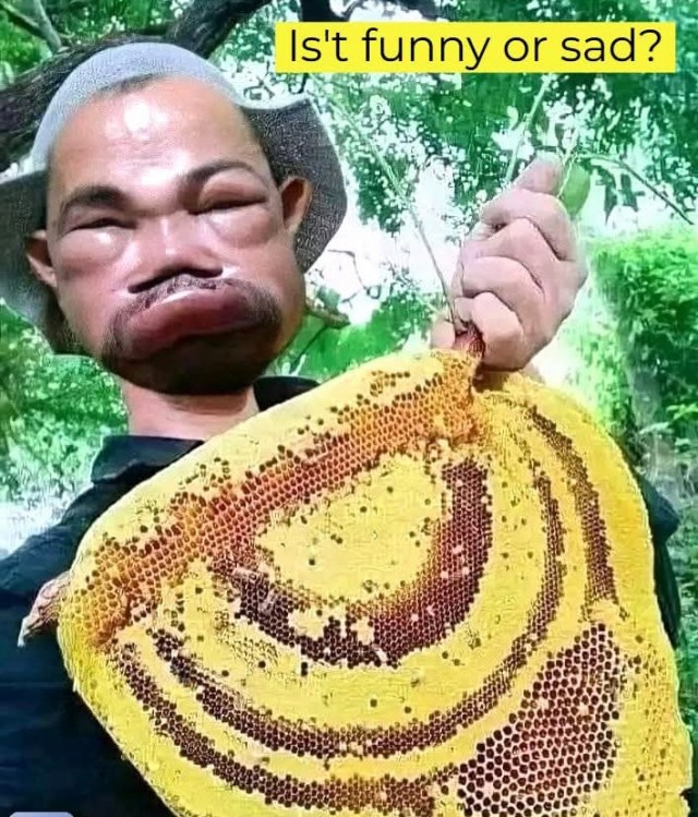 Картинки про юмор