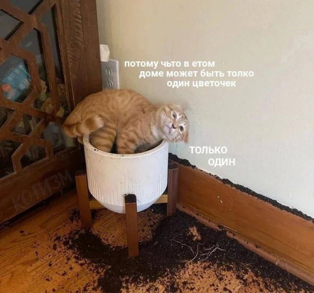 Так всякие картинки 02 05