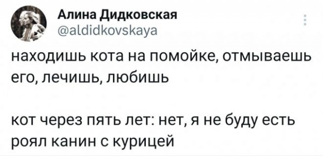 Веселые картинки в пятницу (16.02)