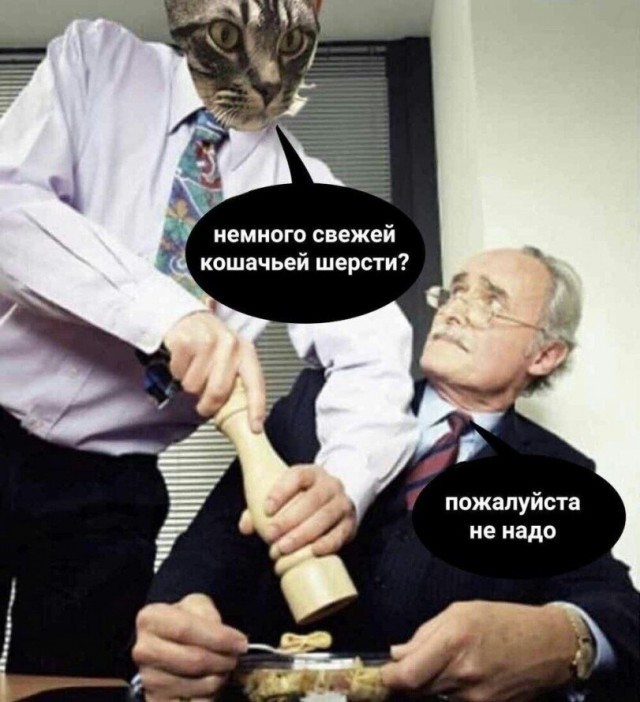 Картинки для деградации 25 (разной степени свежести)
