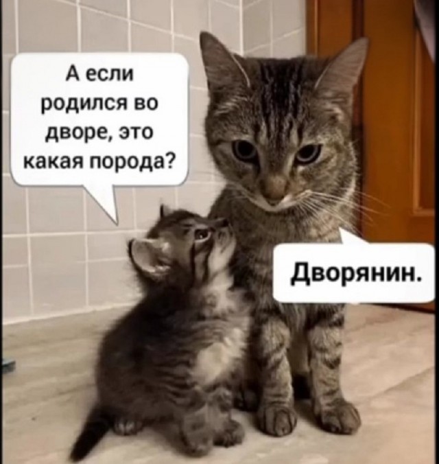 Так себе картинки 15.09.25