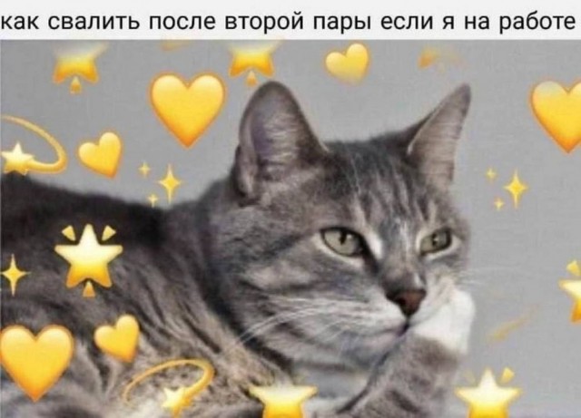 По дороге в дурку