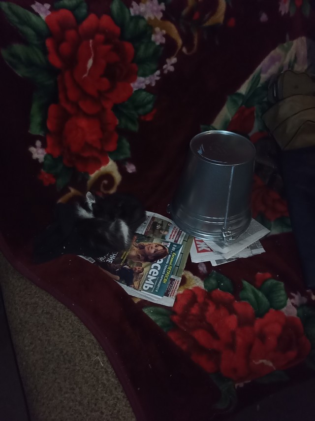 Шринкфляция.