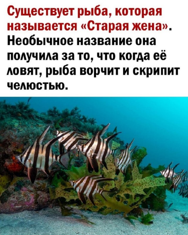 Так себе картинки 18.11.25