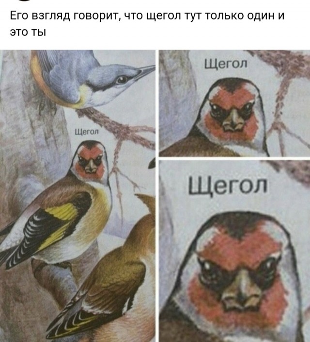 Четверговые картинки