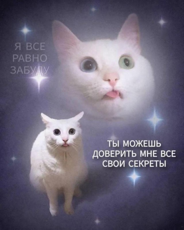 Картинки для деградации 117 (разной степени свежести)