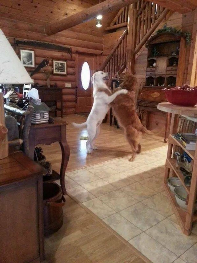 *зачёркнуто*