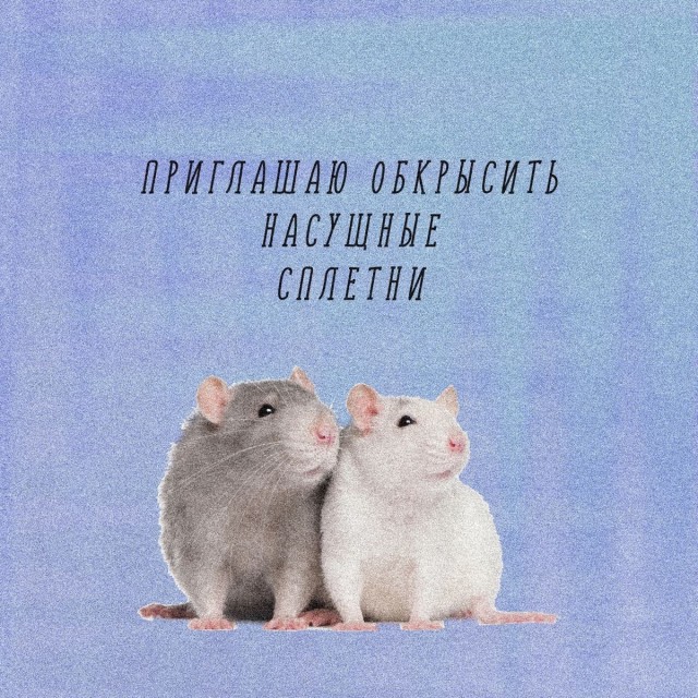 Сегодня отмечают Всемирный день слухов