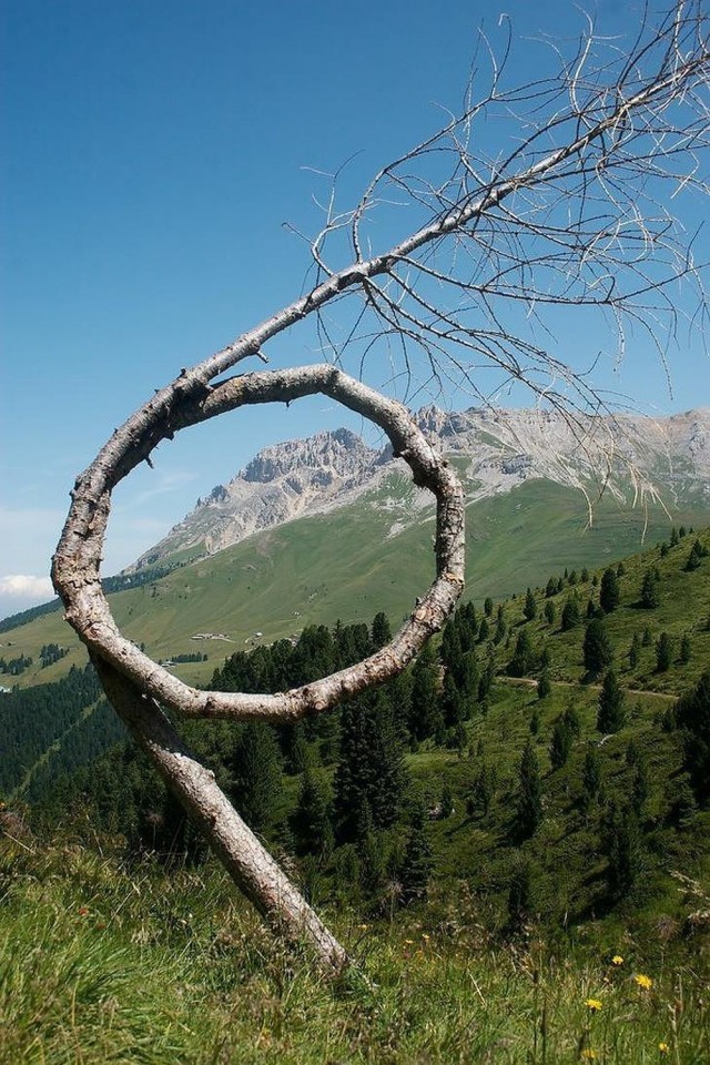 39 необычных фотографий, которые должны вам понравиться