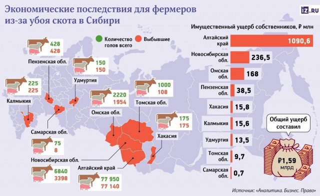 Жительницу села Новоключи Светлану Панину, у которой 13 марта изъяли 200 голов скота, задержала полиция