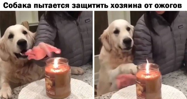 Немного воскресных картинок