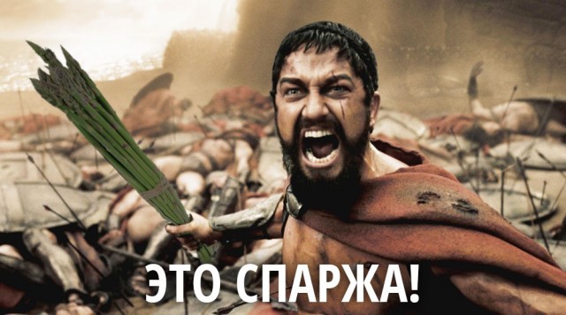Аспарагусы