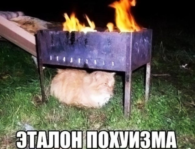 Картиночки, баянчики 25 июля