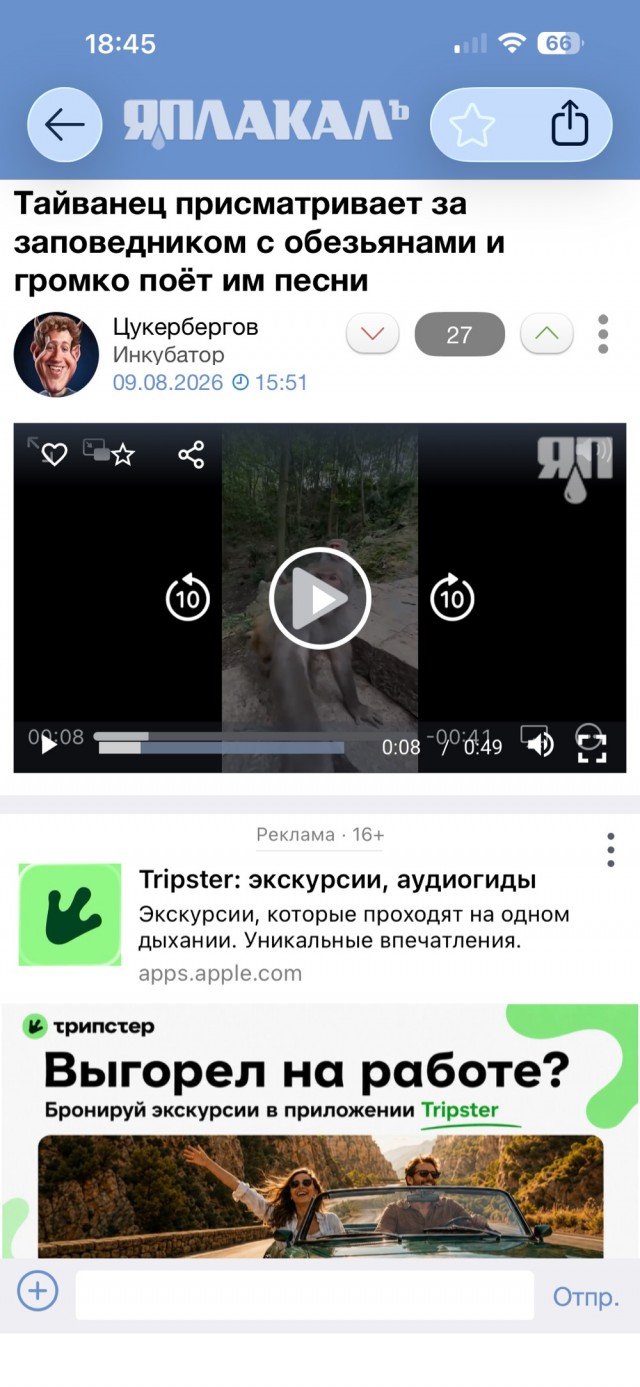 Тайванец присматривает за заповедником с обезьянами и громко поёт им песни