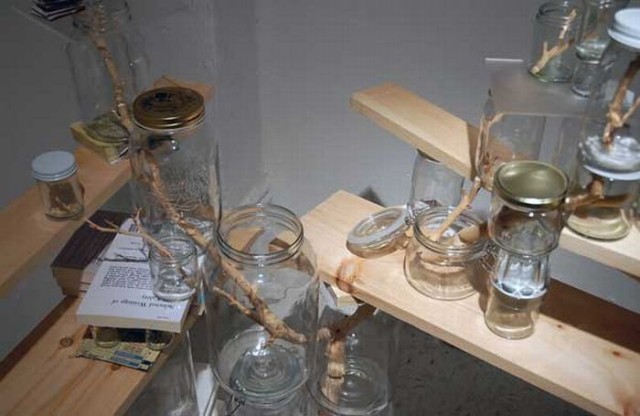 Урбанистическая консервация (8 фото)