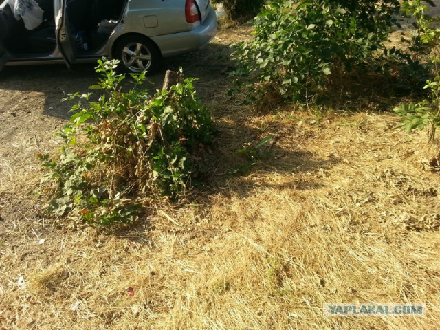 Как провести день, или сказка наяву!