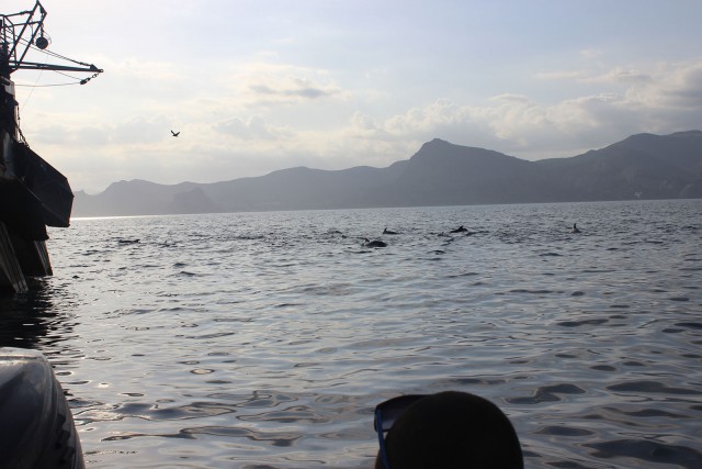 Отчёт о поездке в Крым 12.07 - 29.07