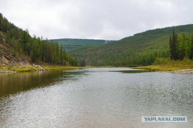 Рыбалка в Олекминске