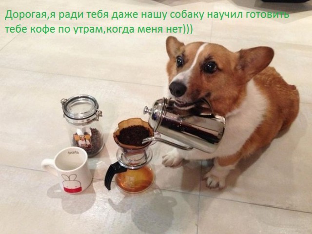 Очередная подборка коментов