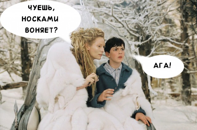 В Нарнию!