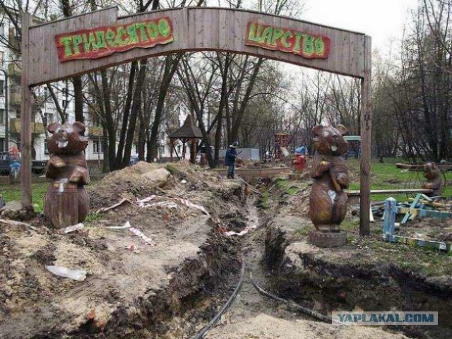 Маразмы месяца