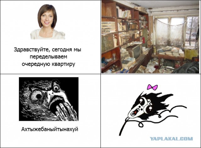 "Нехорошая квартира" в Петрозаводске, дурдом