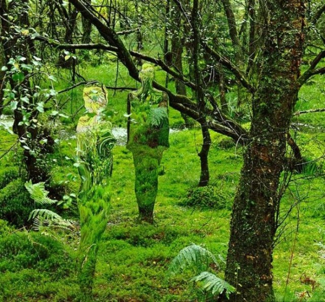 Невидимые скульптуры в шотландском лесу