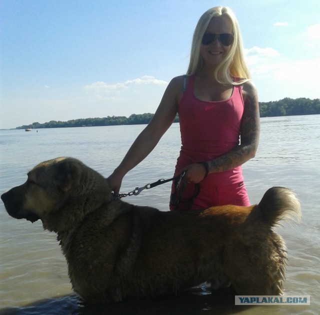 Собакочетверг