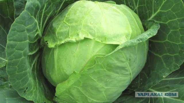 Вот так выглядят девушки 1998 года рождения