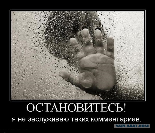 Когда запостил тему на ЯП-е!