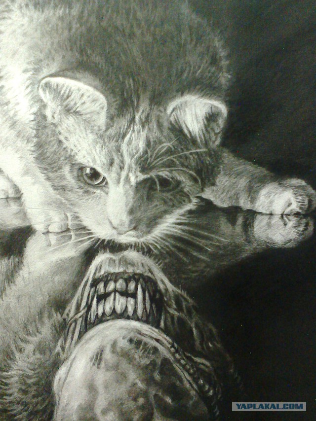 Девушка нарисовала котуху для котовторника