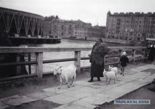 Санкт-Петербург